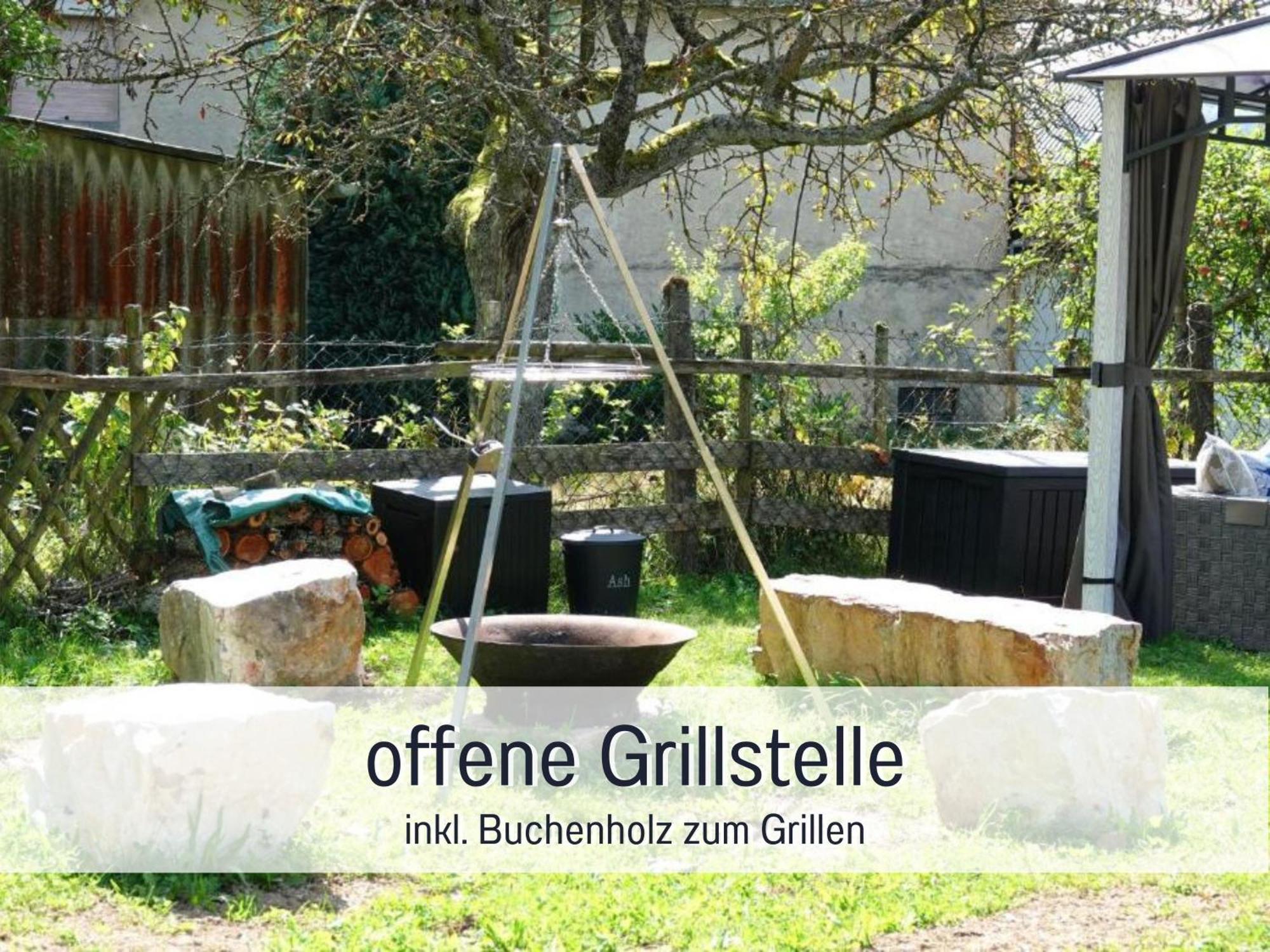 4 Sterne Ferienhaus "Zum Weiher" Allenbach Экстерьер фото